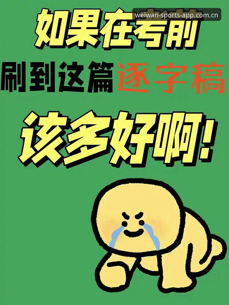 微玩体育平台2024版实用评测：数据与操作的双重升级